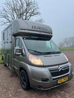 Prachtige Citroën paardenwagen met degelijke en ruime opbouw, Dieren en Toebehoren, Paarden en Pony's | Trailers en Aanhangwagens