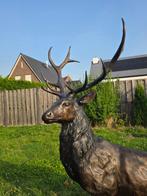 Beeld, Bronze: XL Deer - 171 cm - Brons - 2025, Antiek en Kunst, Curiosa en Brocante