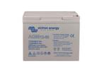 12V/60Ah AGM Super Cyclus Batt. (M6), Watersport en Boten, Bootonderdelen, Ophalen of Verzenden, Nieuw, Motor en Techniek, Zeilboot of Motorboot