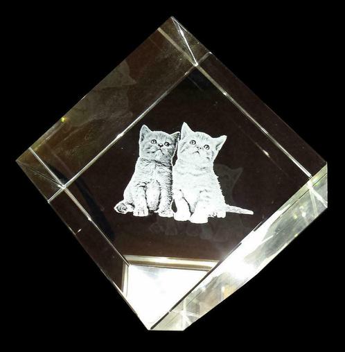 foto van uw eigen huisdier gelaserd in kristal ook in 3D, Dieren en Toebehoren, Overige Dieren-accessoires, Nieuw, Ophalen of Verzenden