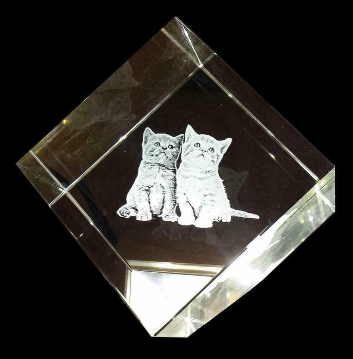 foto van uw eigen huisdier gelaserd in kristal ook in 3D, Dieren en Toebehoren, Overige Dieren-accessoires, Nieuw, Ophalen of Verzenden