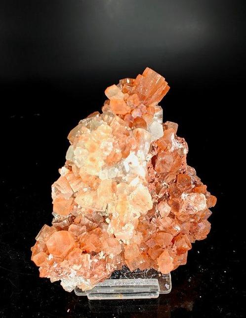 TRIS Bicolore aragonite, groen en bruin - Hoogte: 8 cm -, Verzamelen, Mineralen en Fossielen