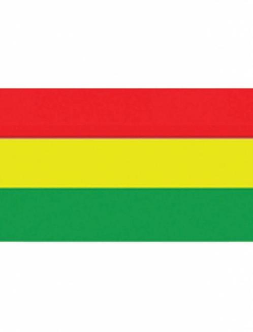 Vlag Carnaval 150x90cm rood/geel/groen, Hobby en Vrije tijd, Feestartikelen, Nieuw, Ophalen of Verzenden