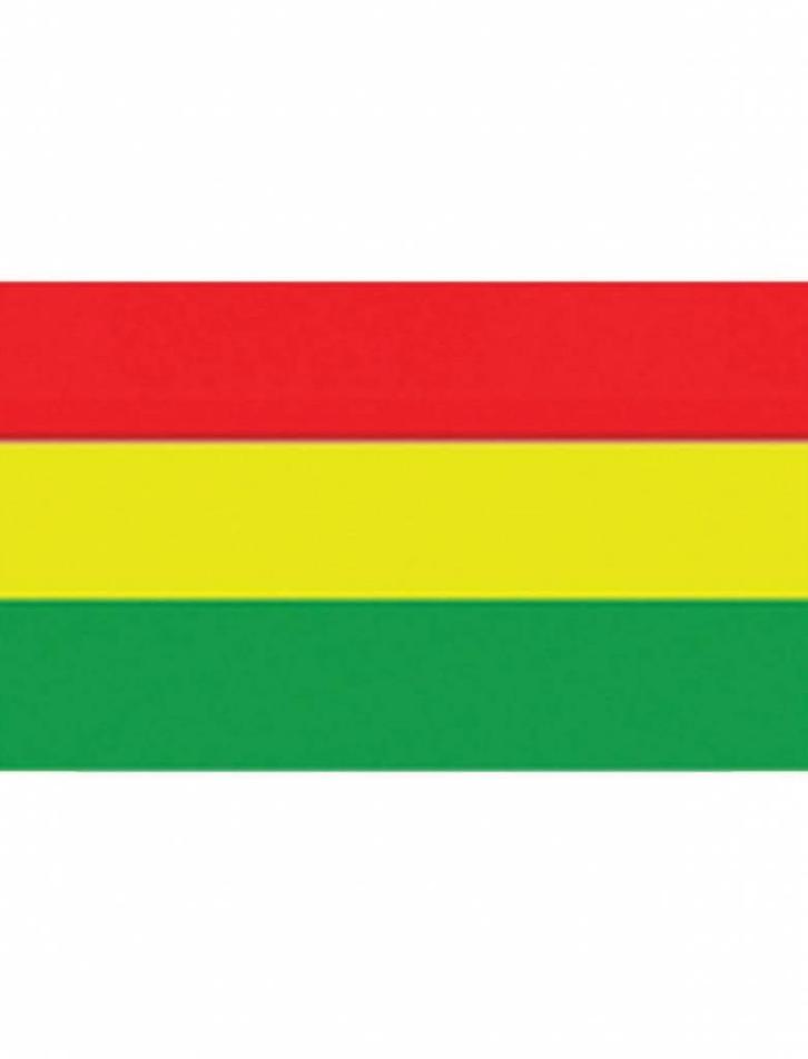 Vlag Carnaval 150x90cm rood/geel/groen, Hobby en Vrije tijd, Feestartikelen, Nieuw, Ophalen of Verzenden