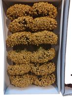 Fieldberries okergeel - doosje foam besjes voor, Ophalen of Verzenden, Nieuw