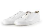 Blackstone Sneakers in maat 42 Wit | 10% extra korting, Kleding | Heren, Schoenen, Blackstone, Verzenden, Wit, Sneakers of Gympen