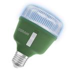 Osram LED Star Grow Lamp T80 E27 20W | Plantengroeilamp m..., Ophalen of Verzenden, Nieuw