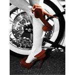 Evershine diamond painting voor volwassenen rode schoen, Huis en Inrichting, Ophalen of Verzenden, Nieuw