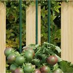 Plantenstaken 30 st 60 cm staal groen (Tuinieren), Tuin en Terras, Nieuw, Verzenden