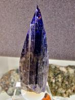 Tanzaniet 216,4 ct XXL Perfecte kwaliteit - Hoogte: 64 mm -