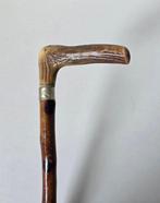 Wandelstok - Hout, Hertengewei - Ca. 1900, Antiek en Kunst