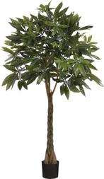 2dekans | Mica Decorations Pachira Kunstplant - H120 x Ø50, Ophalen of Verzenden, Zo goed als nieuw