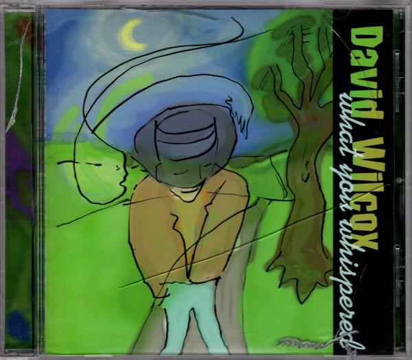 cd - David Wilcox - What You Whispered, Cd's en Dvd's, Cd's | Overige Cd's, Zo goed als nieuw, Verzenden