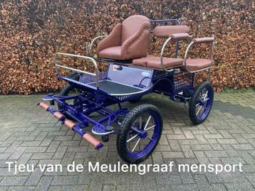 Mooie recreatiewagen Marathonwagen menwagen Shetlander welsh