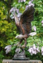 Beeld, hunting eagle - 55 cm - brons marmer