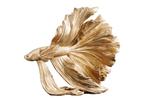 Design decoratief figuur vechtende vis CROWNTAIL 35cm goud, Huis en Inrichting, Woonaccessoires | Vazen, Ophalen of Verzenden