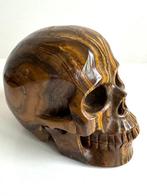 Grote Memento Mori uitgehouwen schedel in ogen van tijger -, Nieuw