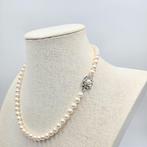 Zonder minimumprijs - Halsketting Zilver Parel - Akoya 7.0mm, Nieuw