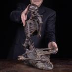 Marcel Début (1865-1933) - Beeld, Skeleton Smoking a Cigar., Nieuw