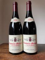 2021 Domaine Ghislaine Barthod Les Veroilles - Chambolle, Nieuw