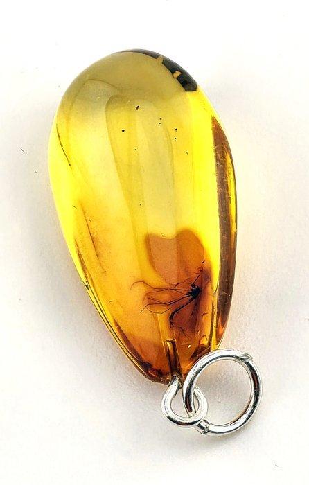 Adembenemende gouden Baltisch amber – reusvlinder-inclusie –, Antiek en Kunst, Curiosa en Brocante