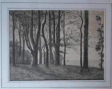 Valkeveen - Bomen langs een meer beschikbaar voor biedingen