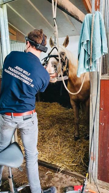 Gebitsbehandelingen al vanaf €90 Paardentandarts Wolf beschikbaar voor biedingen
