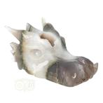 Agaat geode draken schedel 517 gram, Nieuw, Verzenden