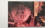 Alice In Chains - Jar Of Flies / SAP - Limited edition - 2 x, Nieuw in verpakking