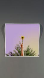 Téber - I Sunflower You · No Reserve, Antiek en Kunst