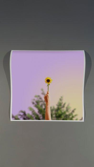 Téber - I Sunflower You · No Reserve, Antiek en Kunst, Kunst | Designobjecten