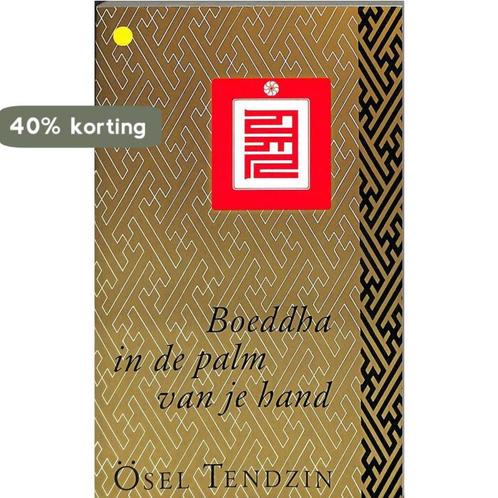 Boeddha in de palm van je hand 9789063253479 Tendzin, Boeken, Esoterie en Spiritualiteit, Gelezen, Verzenden