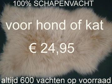 Hondenkleed 100% SCHAPENVACHT Honden kleed  24,95 NIEUW beschikbaar voor biedingen