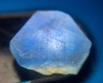 100 cts ongerepte saffier - Ruw- 20 g