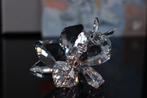 Figuur - Swarovski - De bij (Boxed + certificate) - Kristal