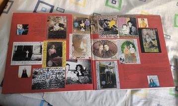 The Smashing Pumpkins - Siamese Dream - 2 x LP Album beschikbaar voor biedingen