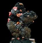 Vanadinite op Pyrolusiet Taouz (ader 12), Midelt,, Verzamelen, Mineralen en Fossielen
