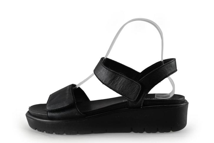 Ara sandalen in maat 37 Zwart | 10% korting, Kleding | Dames, Schoenen, Zwart, Gedragen, Sandalen of Muiltjes, Verzenden