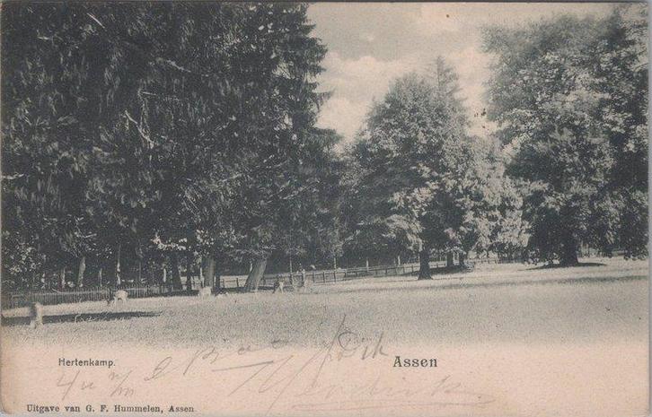 ASSEN - Hertenkamp, Verzamelen, Ansichtkaarten | Nederland, Verzenden