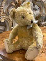 Steiff: Teddybeer US ZONE 1950, met extra label - Teddybeer, Antiek en Kunst, Antiek | Speelgoed