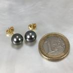 Oorbellen - 18 karaat Geel goud Parel - Tahiti ring Ø 9x9,5, Nieuw