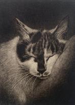 Nemuri  (Sleep) - NO RESERVE PRICE ! - Emi Sat  (b