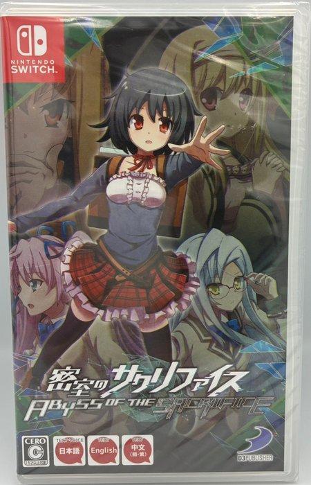 Nintendo - Switch - Abyss of the Sacrifice - Videogame - In, Spelcomputers en Games, Spelcomputers | Overige Accessoires