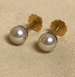 Zonder minimumprijs - Oorbellen - 18 karaat Geel goud Parel, Nieuw