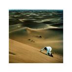 lp nieuw - Baxter Dury - Prince Of Tears, Cd's en Dvd's, Vinyl | Pop, Verzenden, Zo goed als nieuw