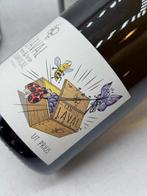 Laval, Aurore & Florian Laval Ut Prius - Champagne Brut, Nieuw