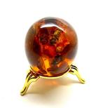 Ei met bij en Baltische barnsteenstenen - Barnsteen -