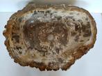 Waskom - Fossiel hout. - wasbak