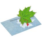 Zonnepapier PhänoMINT - A4 - 10 Stuks - Creatief NIEUW, Hobby en Vrije tijd, Knutselen, Ophalen of Verzenden, Nieuw