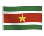 Surinaamse vlag 150x90cm, Hobby en Vrije tijd, Ophalen of Verzenden, Nieuw